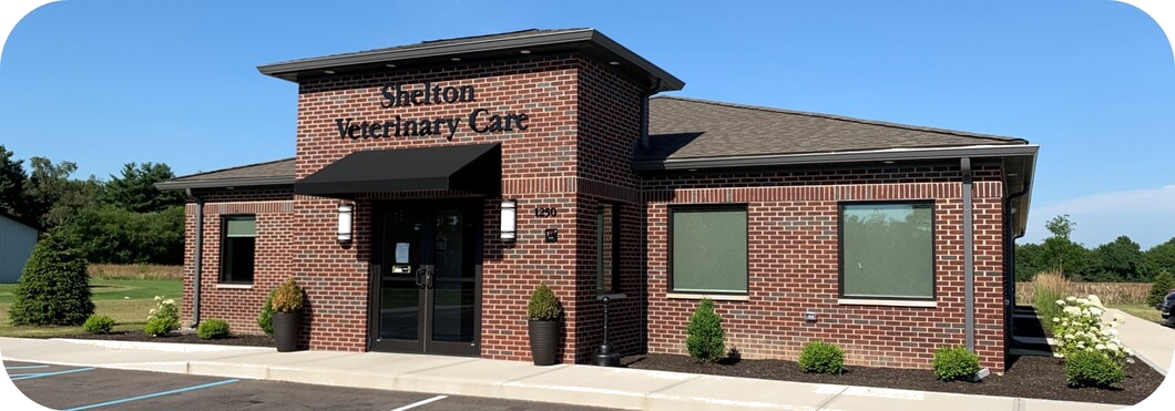 Shelton Veterinary Care Building